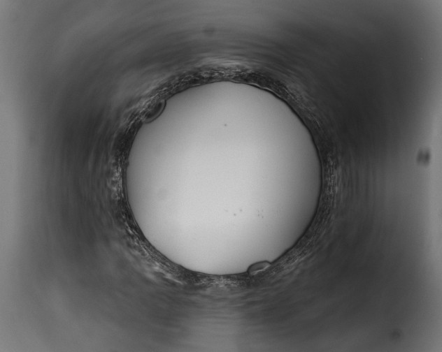 X0000115631109200911241640