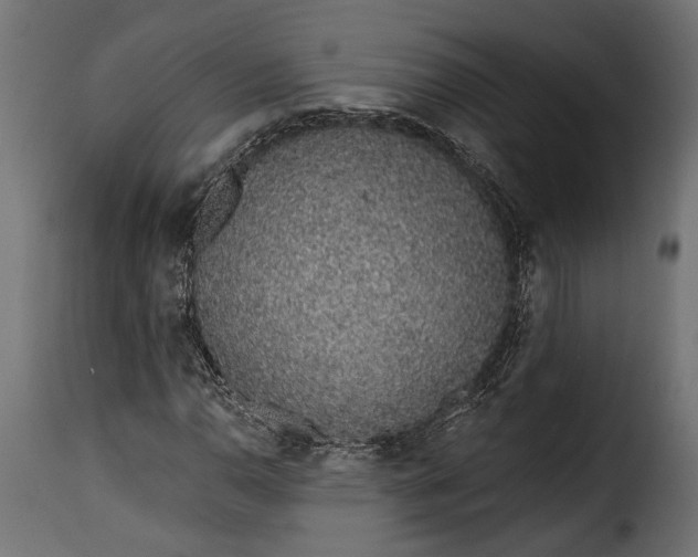 X0000115631110200911241640