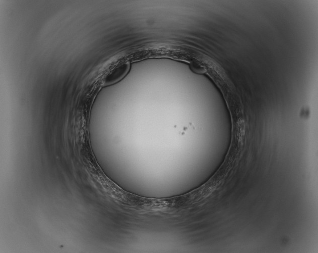 X0000115631111200911241640