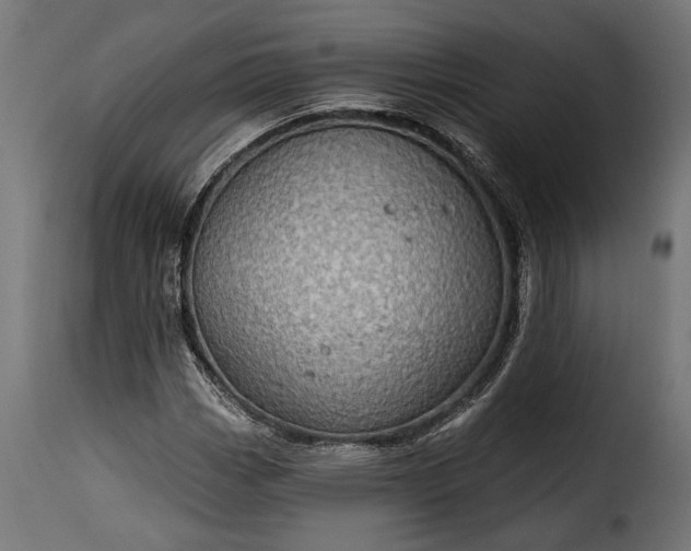 X0000115631113200911241640