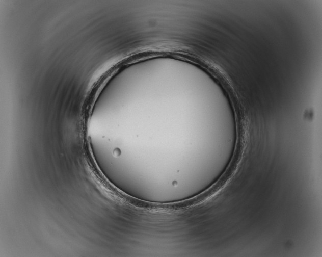 X0000115631114200911241640