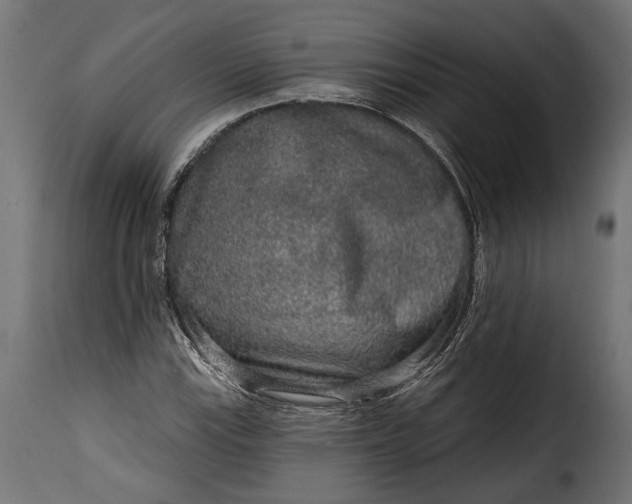 X0000115631115200911241640