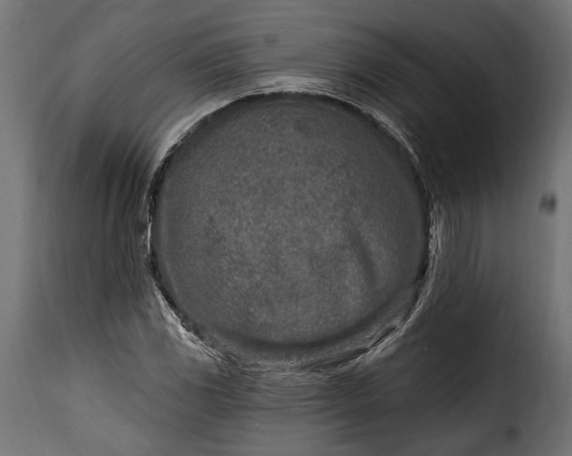 X0000115631117200911241641