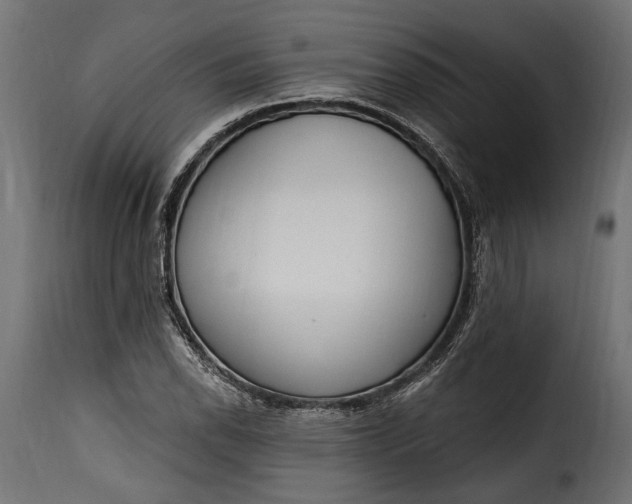 X0000115631118200911241641