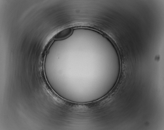 X0000115631119200911241641