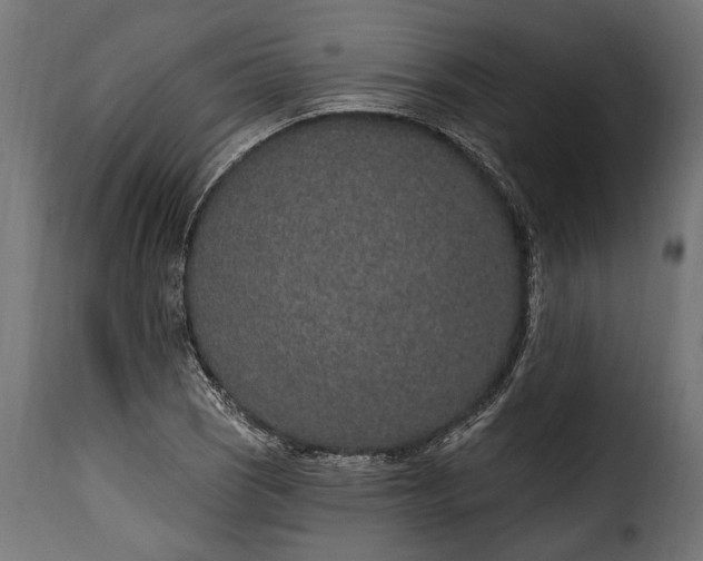 X0000115631121200911241641