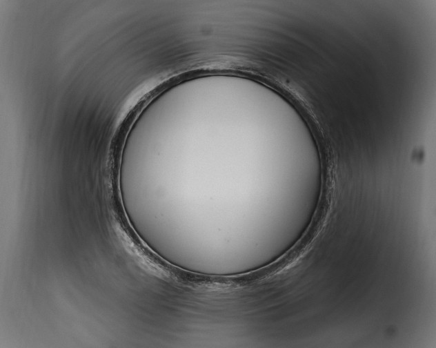 X0000115631122200911241641