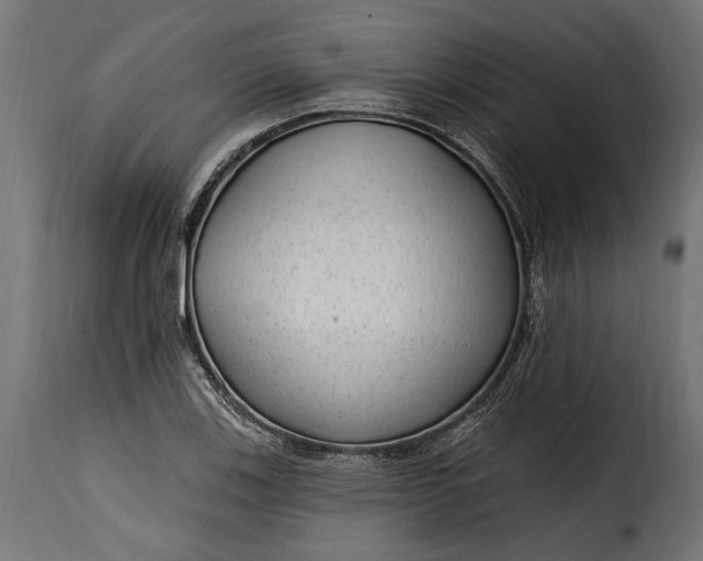 X0000115631123200911241641