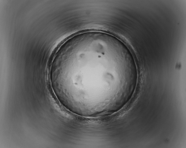 X0000115631125200911241641