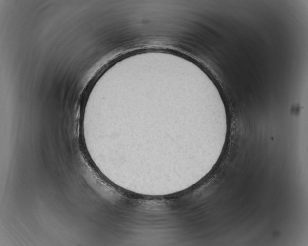 X0000115631126200911241641