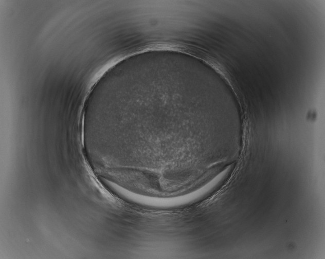 X0000115631127200911241641