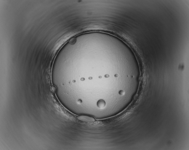 X0000115631129200911241641