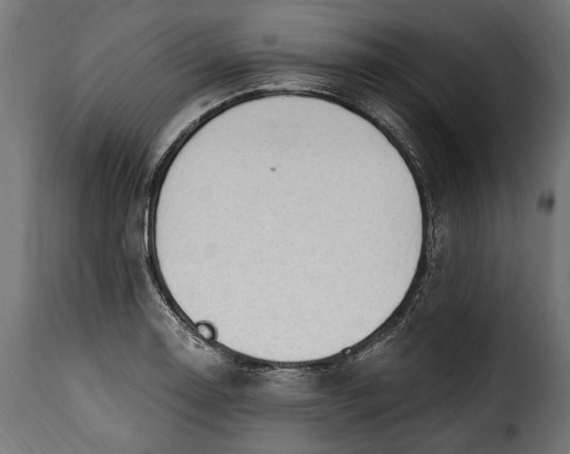 X0000115631130200911241641