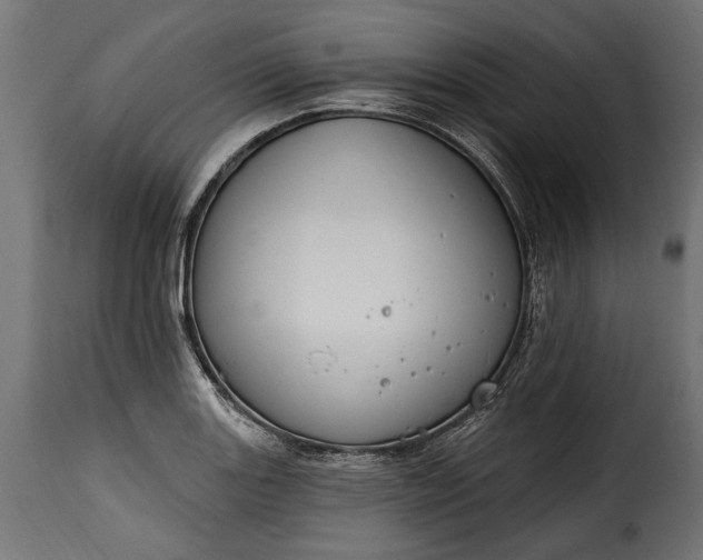 X0000115631131200911241641