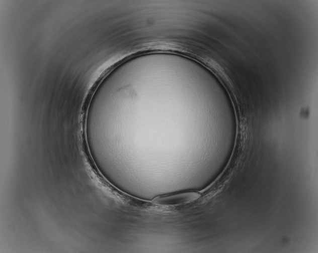 X0000115631133200911241641