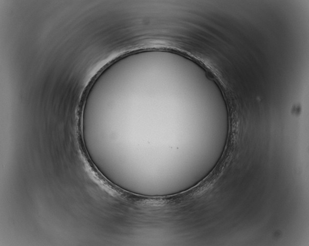 X0000115631134200911241641