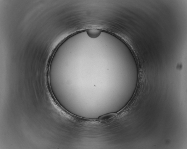 X0000115631135200911241641