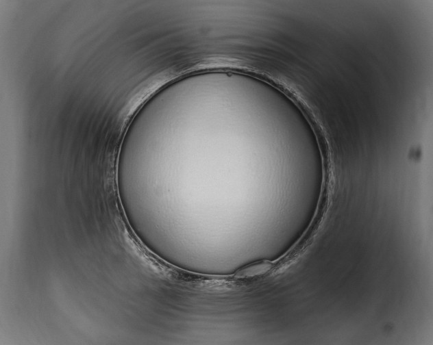 X0000115631137200911241641