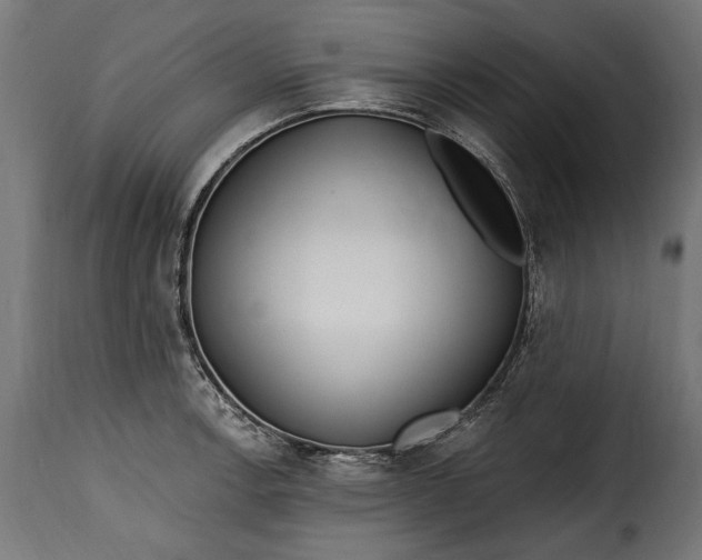 X0000115631138200911241641