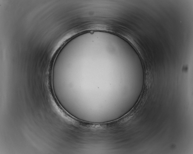 X0000115631139200911241641