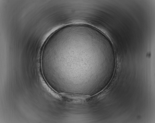 X0000115631142200911241641