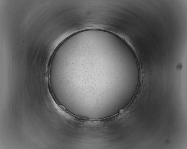 X0000115631143200911241641