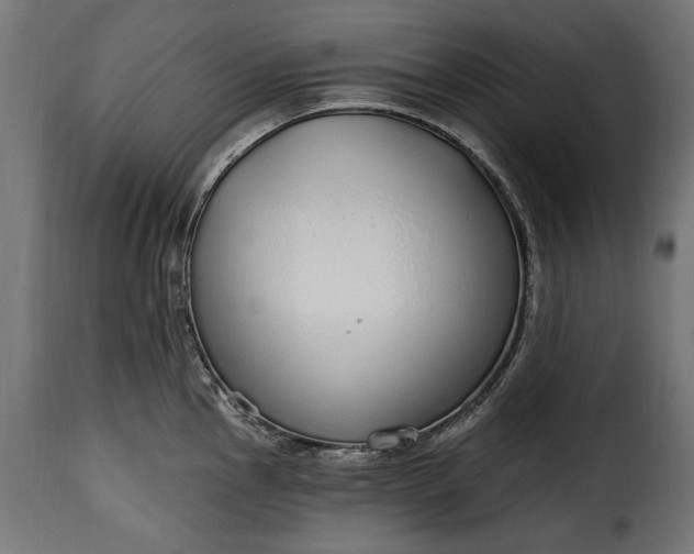 X0000115631145200911241641