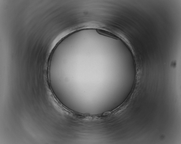 X0000115631146200911241641