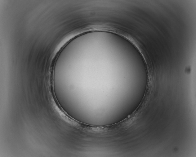 X0000115631147200911241641