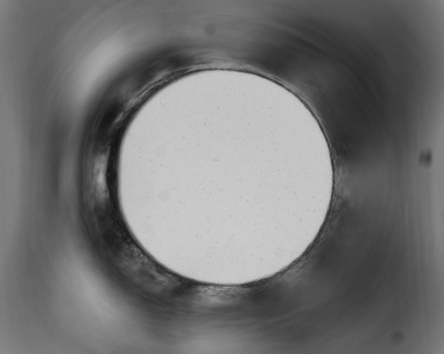 X0000115631150200911241641