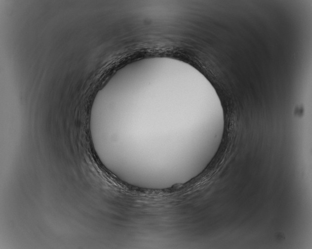 X0000115631153200911241640