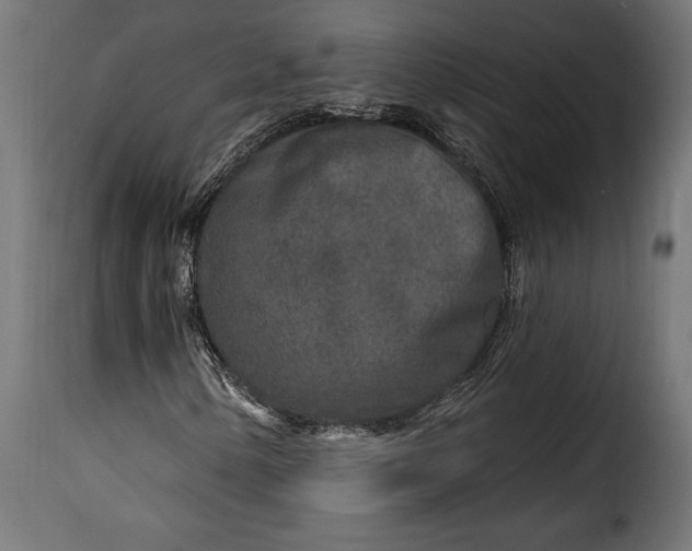 X0000115631154200911241640