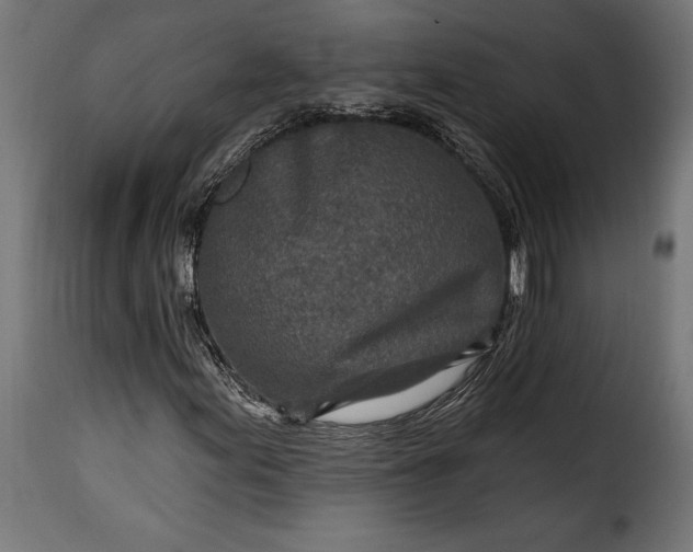 X0000115631155200911241640