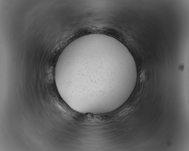 X0000115631156200911241640