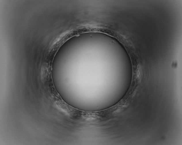 X0000115631157200911241640