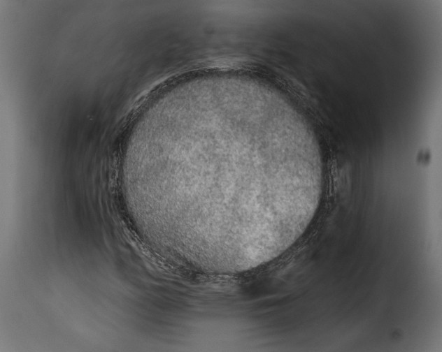 X0000115631158200911241640