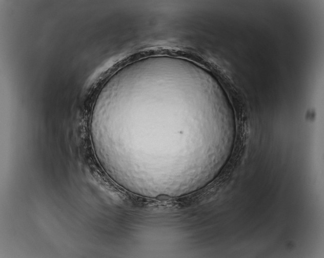 X0000115631159200911241640