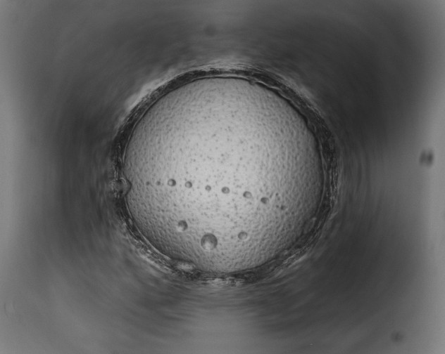 X0000115631160200911241640