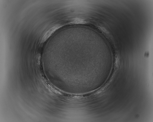 X0000115631161200911241640