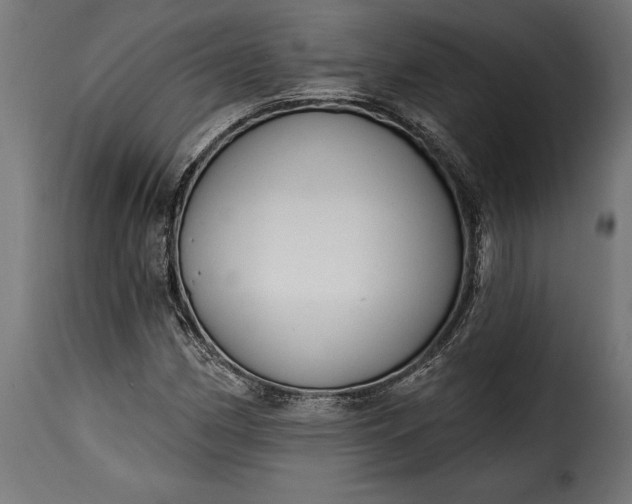 X0000115631162200911241640