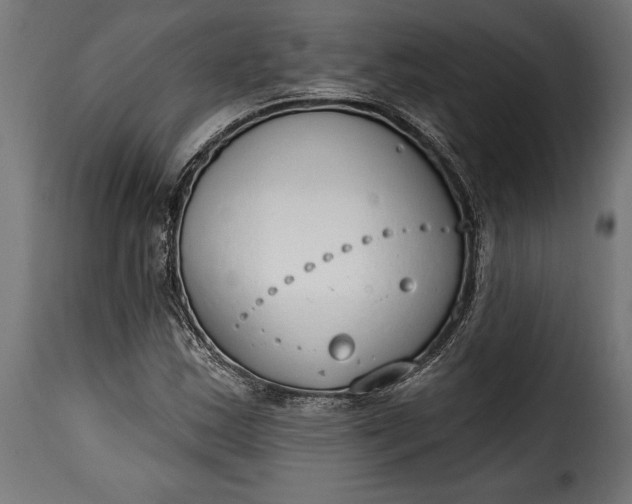 X0000115631163200911241640