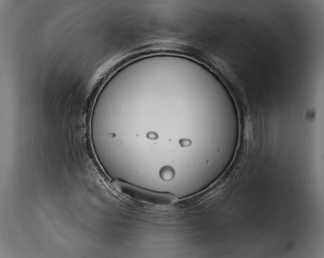 X0000115631164200911241640