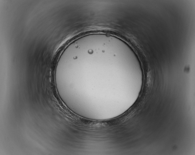 X0000115631165200911241640