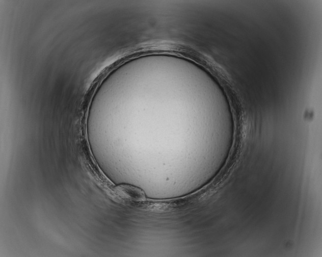 X0000115631166200911241640