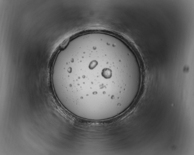 X0000115631167200911241640