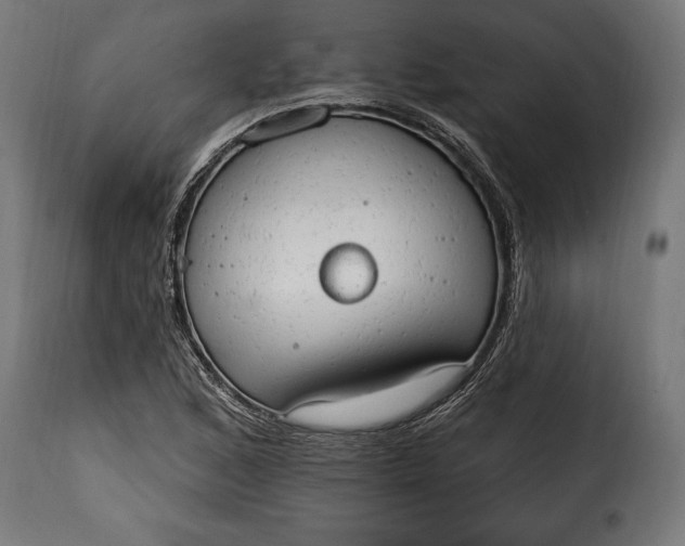 X0000115631168200911241640