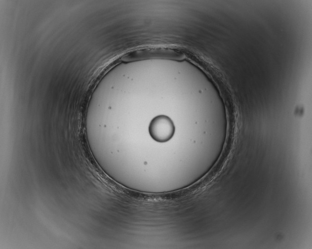 X0000115631169200911241640