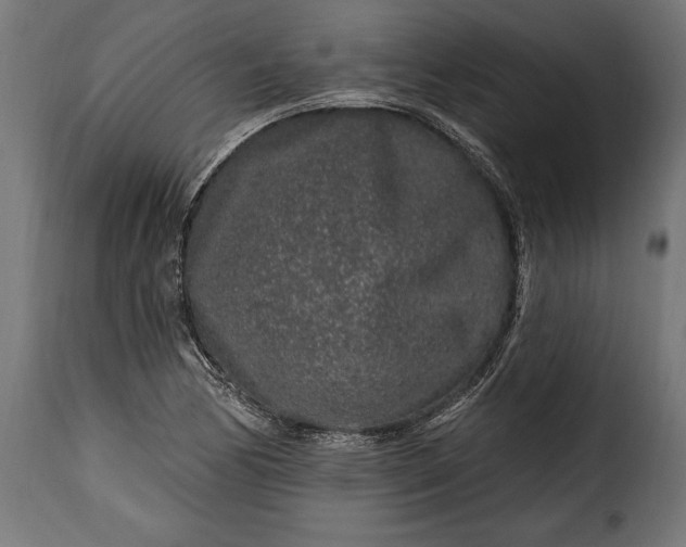 X0000115631170200911241640