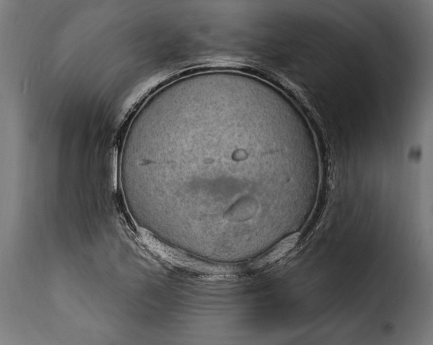 X0000115631171200911241640