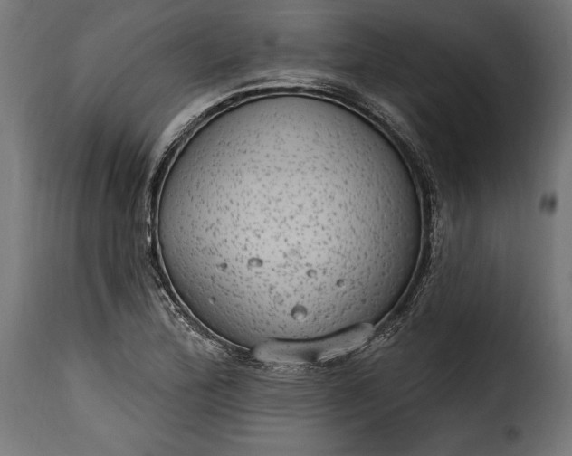 X0000115631172200911241640